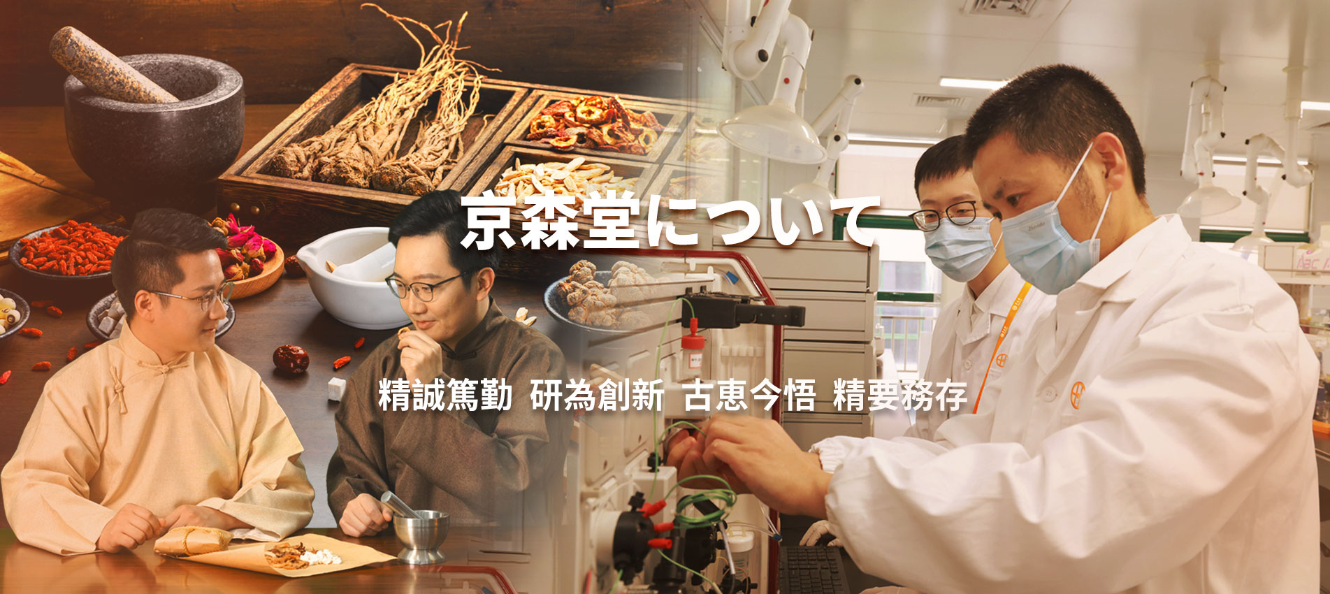 企業情報