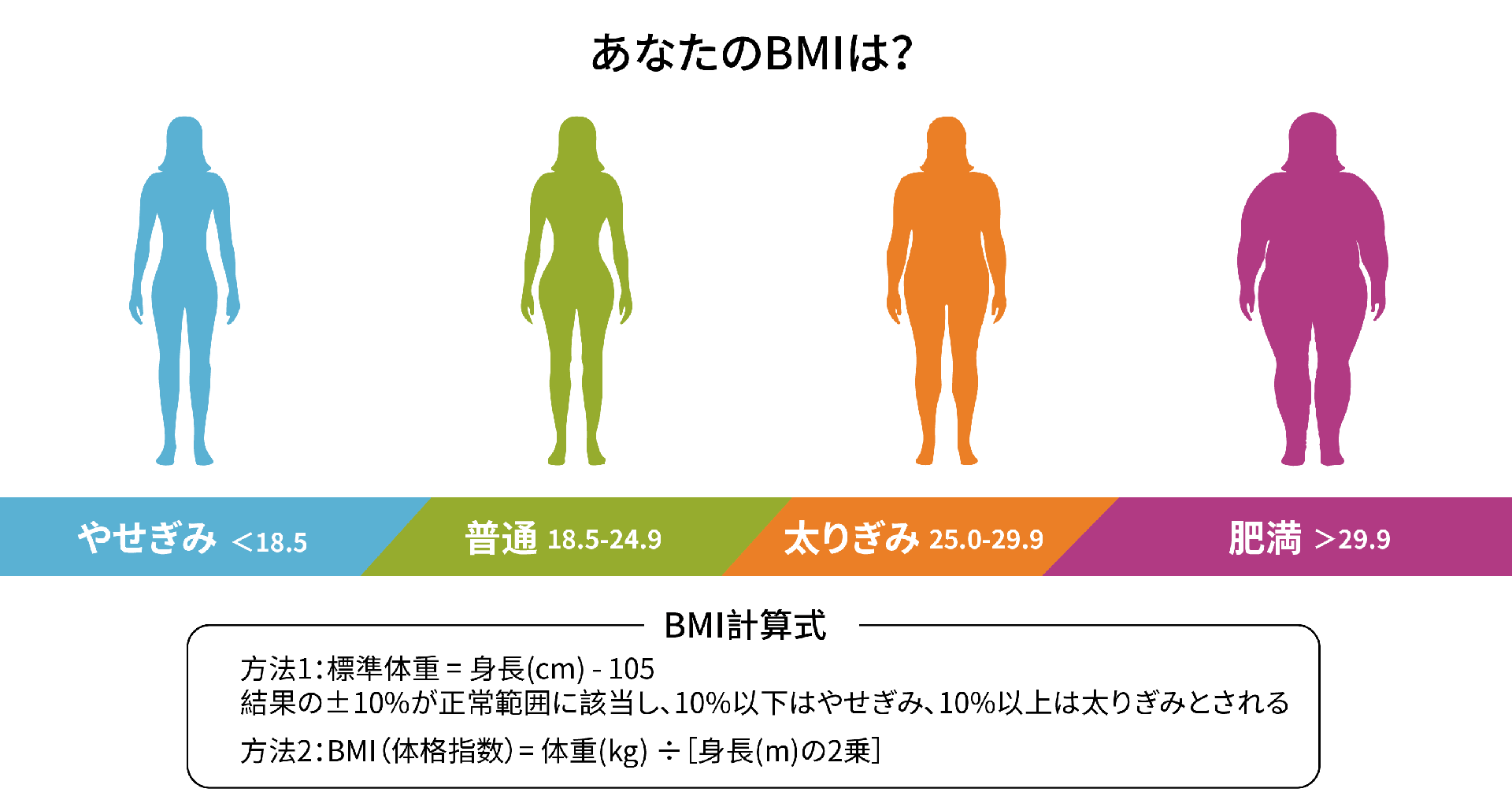 減量減脂（女性）