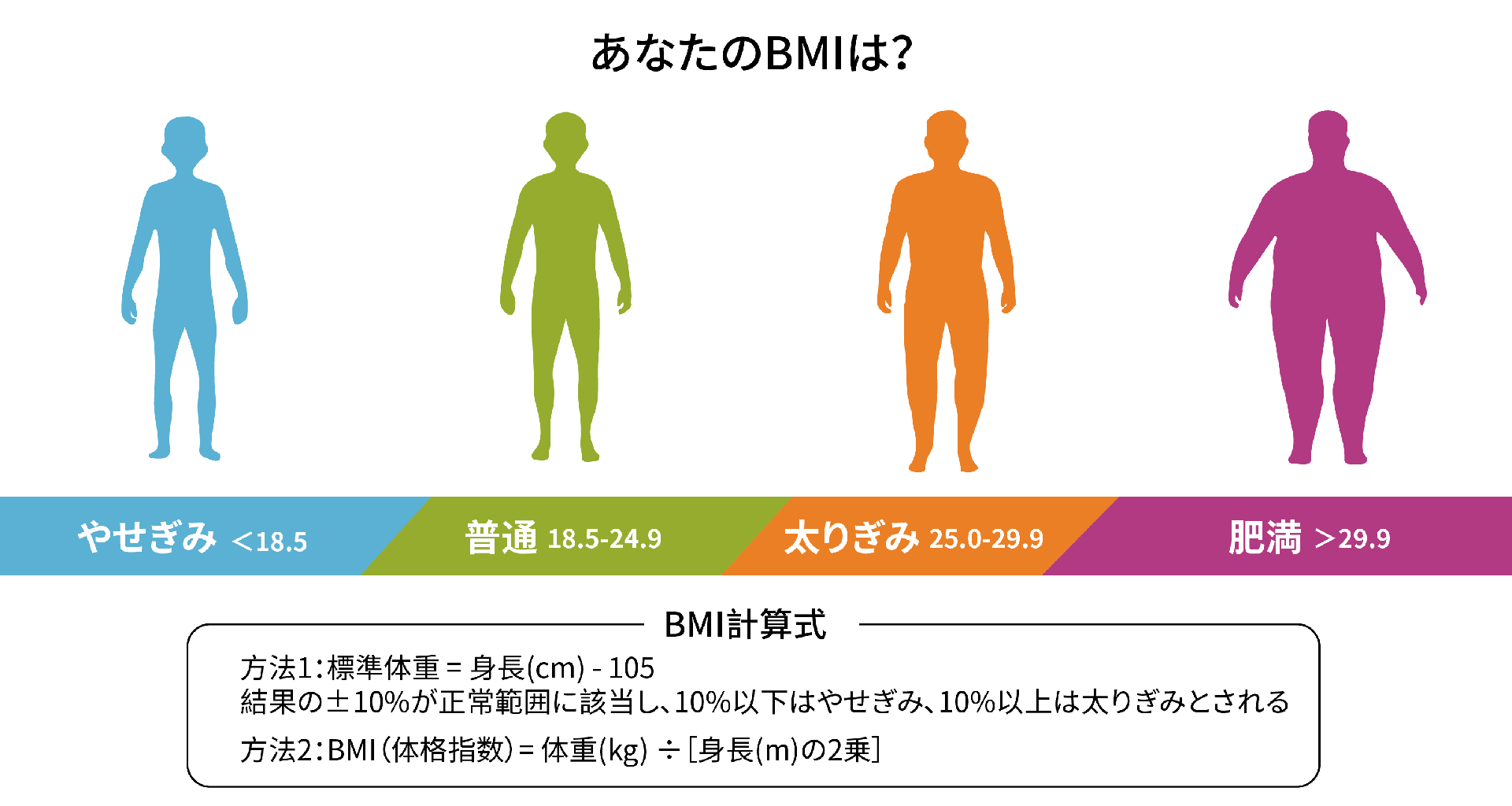 減量減脂（男性）